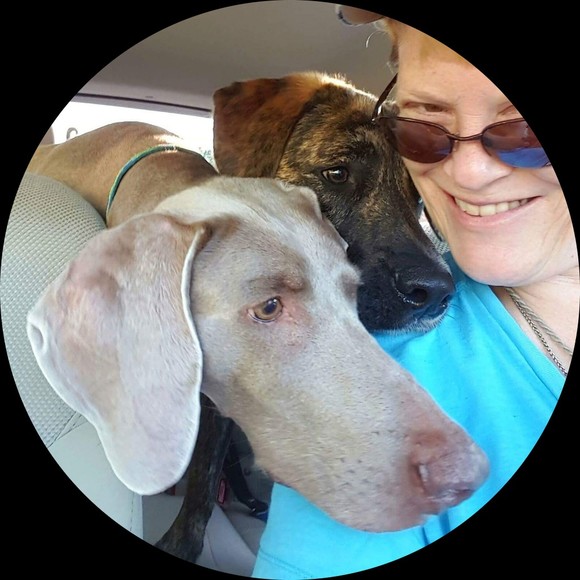 weim761